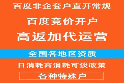 百度推广中的创意策略：成功案例解析与启示